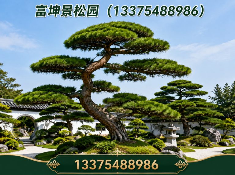 东平县迎客松展示图